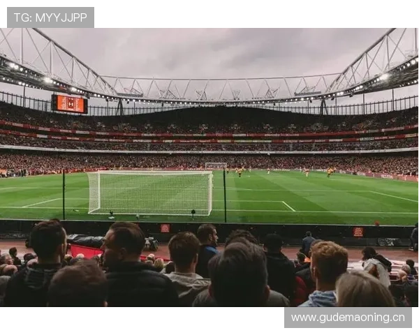 英超主场观赛体验：氛围热烈、设施完善、球迷文化浓厚