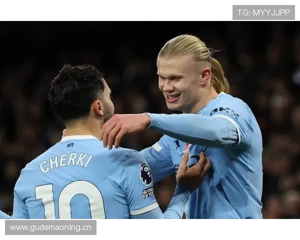 哈兰德巅峰赛季进球数据解析：英超36球纪录如何诞生