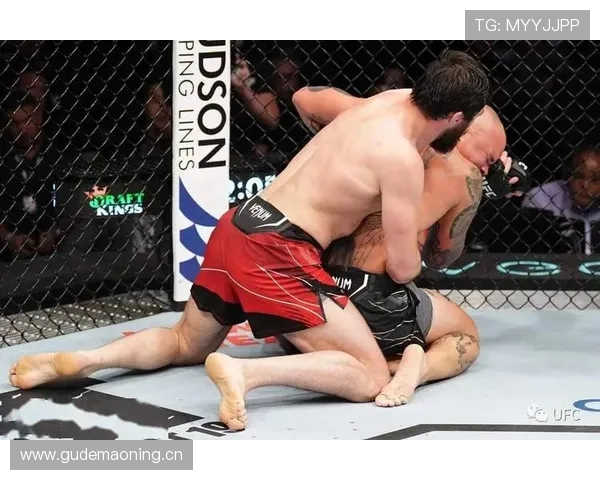 努涅斯vs奥斯梅恩 进攻端全面性差距及适配场景分析 努涅斯vs奥斯梅恩 进攻端全面性差距及适配场景分析