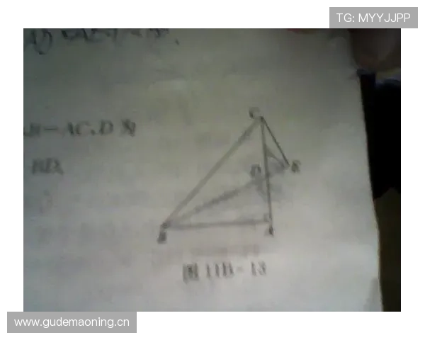 “垂直起跳原则”解析：如何正确判定封盖犯规避免误判